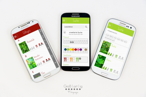 Marahs Mümmler, Dein Kräuterguide für Kaninchen, Kräuterguide, artgerecht, füttern, Kaninchenfuttern, pflücken, Wiese, bestimmen, Wildkräuter, Kräuter, Sträucher, Bäume, App, Android