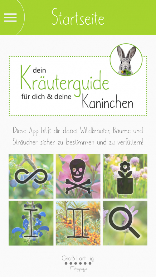 Screenshot, App, Android, Dein Kräuterguide, Dein Kräuterguide für dich und deine Kaninchen, Einsicht, Vorschau