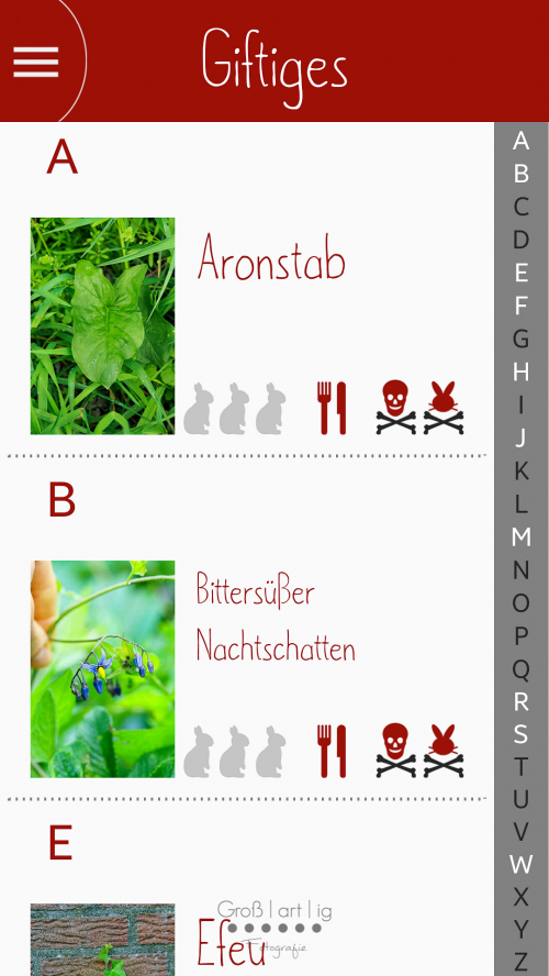 Screenshot, App, Android, Dein Kräuterguide, Dein Kräuterguide für dich und deine Kaninchen, Einsicht, Vorschau