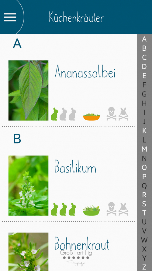 Screenshot, App, Android, Dein Kräuterguide, Dein Kräuterguide für dich und deine Kaninchen, Einsicht, Vorschau