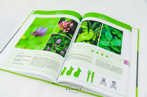 Marahs Mümmler, Dein Kräuterguide für Kaninchen, Kräuterguide, artgerecht, füttern, Kaninchenfuttern, pflücken, Wiese, bestimmen, Wildkräuter, Kräuter, Sträucher, Bäume, Band1, Band I