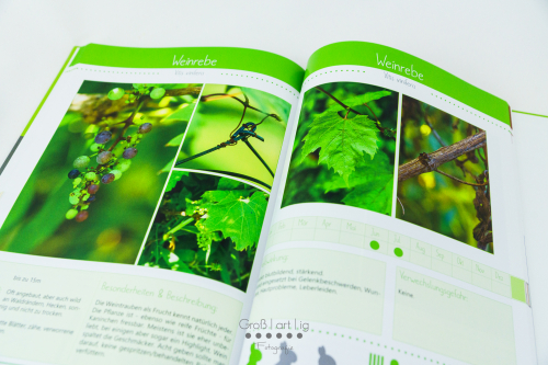 Marahs Mümmler, Dein Kräuterguide für Kaninchen, Kräuterguide, artgerecht, füttern, Kaninchenfuttern, pflücken, Wiese, bestimmen, Wildkräuter, Kräuter, Sträucher, Bäume, Band1, Band I