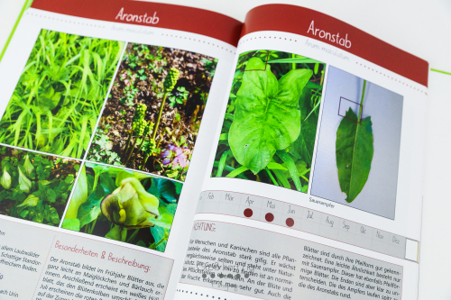 Marahs Mümmler, Dein Kräuterguide für Kaninchen, Kräuterguide, artgerecht, füttern, Kaninchenfuttern, pflücken, Wiese, bestimmen, Wildkräuter, Kräuter, Sträucher, Bäume, Band1, Band I