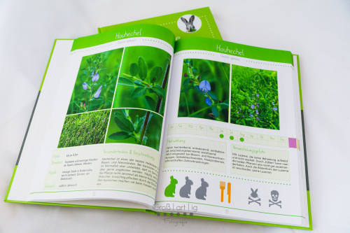 Marahs Mümmler, Dein Kräuterguide für Kaninchen, Kräuterguide, artgerecht, füttern, Kaninchenfuttern, pflücken, Wiese, bestimmen, Wildkräuter, Kräuter, Sträucher, Bäume, Band1, Band I