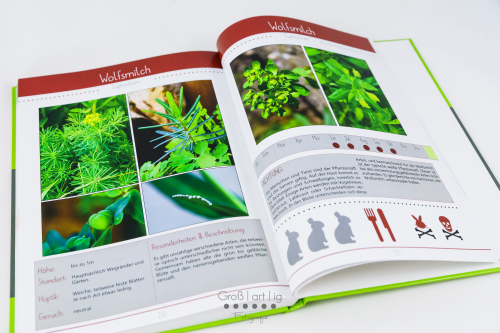 Marahs Mümmler, Dein Kräuterguide für Kaninchen, Kräuterguide, artgerecht, füttern, Kaninchenfuttern, pflücken, Wiese, bestimmen, Wildkräuter, Kräuter, Sträucher, Bäume, Band1, Band I