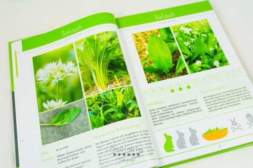 Marahs Mümmler, Dein Kräuterguide für Kaninchen, Kräuterguide, artgerecht, füttern, Kaninchenfuttern, pflücken, Wiese, bestimmen, Wildkräuter, Kräuter, Sträucher, Bäume, Band2, Band II