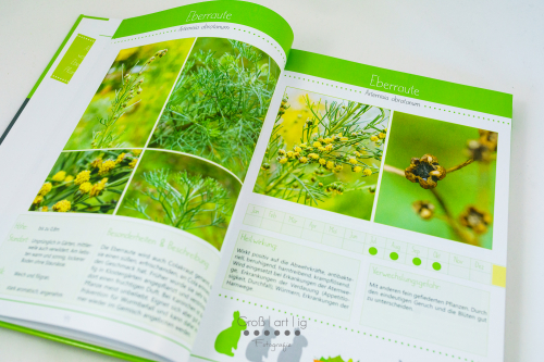 Marahs Mümmler, Dein Kräuterguide für Kaninchen, Kräuterguide, artgerecht, füttern, Kaninchenfuttern, pflücken, Wiese, bestimmen, Wildkräuter, Kräuter, Sträucher, Bäume, Band2, Band II