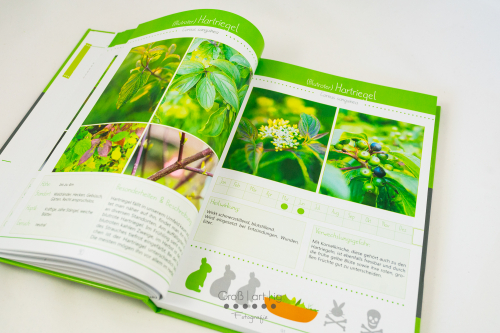 Marahs Mümmler, Dein Kräuterguide für Kaninchen, Kräuterguide, artgerecht, füttern, Kaninchenfuttern, pflücken, Wiese, bestimmen, Wildkräuter, Kräuter, Sträucher, Bäume, Band2, Band II