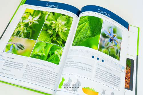 Marahs Mümmler, Dein Kräuterguide für Kaninchen, Kräuterguide, artgerecht, füttern, Kaninchenfuttern, pflücken, Wiese, bestimmen, Wildkräuter, Kräuter, Sträucher, Bäume, Band2, Band II