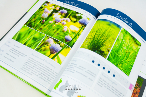 Marahs Mümmler, Dein Kräuterguide für Kaninchen, Kräuterguide, artgerecht, füttern, Kaninchenfuttern, pflücken, Wiese, bestimmen, Wildkräuter, Kräuter, Sträucher, Bäume, Band2, Band II