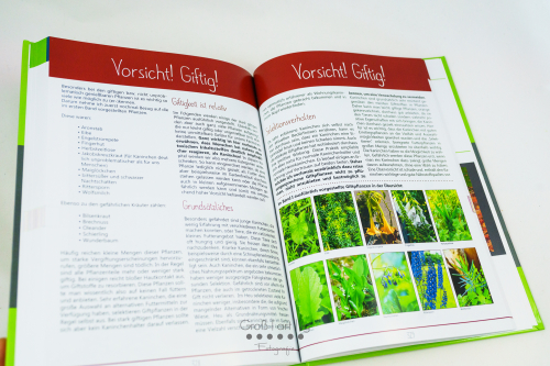 Marahs Mümmler, Dein Kräuterguide für Kaninchen, Kräuterguide, artgerecht, füttern, Kaninchenfuttern, pflücken, Wiese, bestimmen, Wildkräuter, Kräuter, Sträucher, Bäume, Band2, Band II