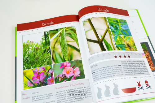 Marahs Mümmler, Dein Kräuterguide für Kaninchen, Kräuterguide, artgerecht, füttern, Kaninchenfuttern, pflücken, Wiese, bestimmen, Wildkräuter, Kräuter, Sträucher, Bäume, Band2, Band II